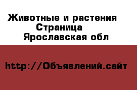  Животные и растения - Страница 4 . Ярославская обл.